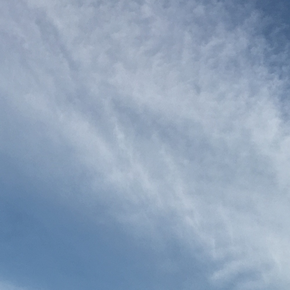 Meet your Posher, Ana paula